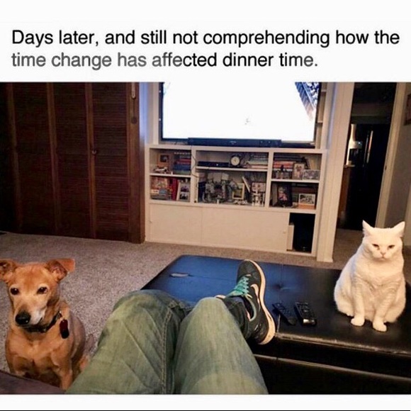 โ๐ฝโค๏ธ๐๐๐ - Picture 2 of 9